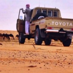 قناة منوعه