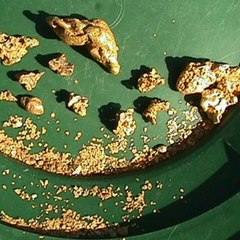 Gold Hunter