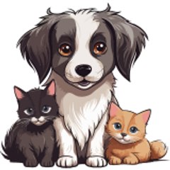 cat vs dog