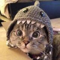 ComicCatsClub