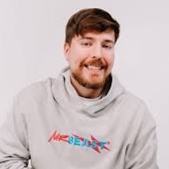 Mrbeast fans