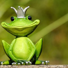 Funny and relax