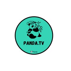 Panda 404