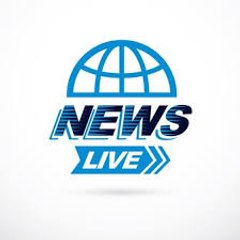 Pulse News Network