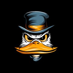 duck__motivation