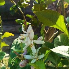 عالم ألسياحه