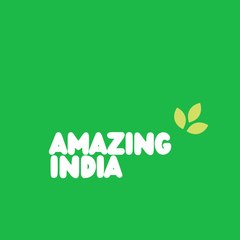 amazing_india