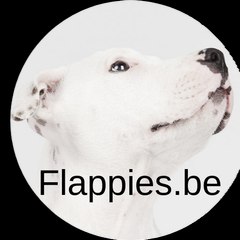 Flappies Hondentraining