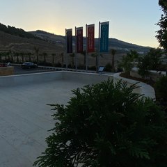 abedjamal.alshoubaki