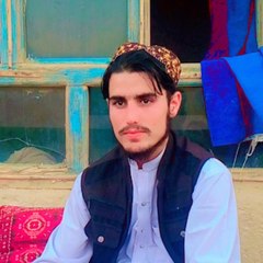 Qary ahmadullah Ahmady