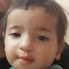 khaled ali