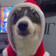 Use code Nasqoo