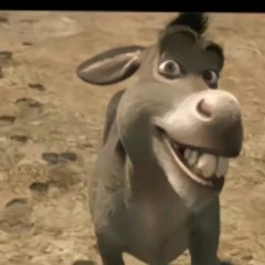 The Mustached Mule