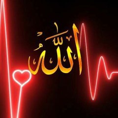 hamdy moatafa haws
