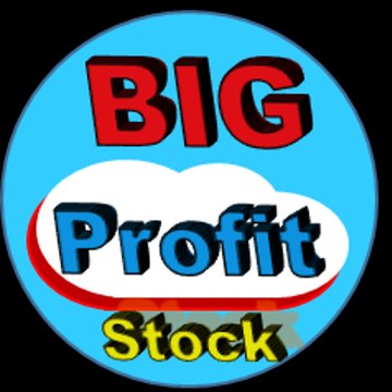 Big Profit Stock