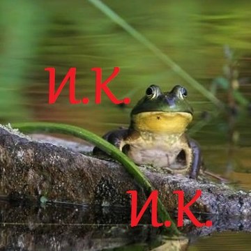 Интересные Кадры