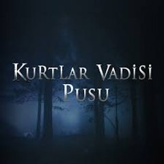 Kurtlar Vadisi Pusu