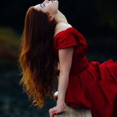 Washroom Hygiene System