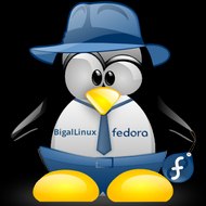 Bigal Linux