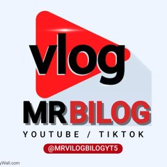 MR Vilog Bilog