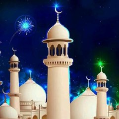 Graceful  Islam