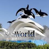 The Sea World