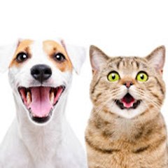 Funny Animals 0.1s