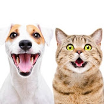 Funny Animals 0.1s