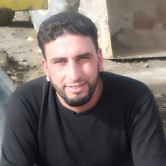 Alaa Ali