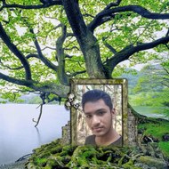 Life of Animal Identity