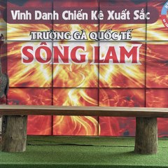 Trường Gà Sông Lam