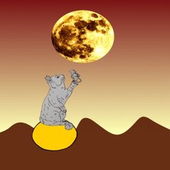 Cute cats entertainment