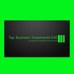 topbusinessinvestments.gse