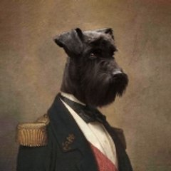 Daniel cerón