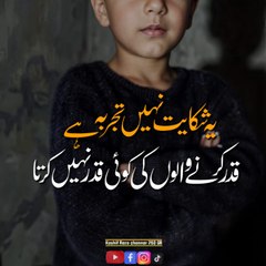 Aliraza260