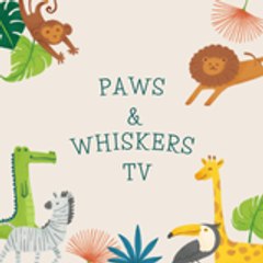 Paws & Whiskers TV