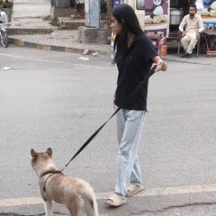 انور على البلوشى Anwarali