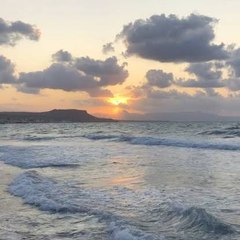 All viral and trading things platform