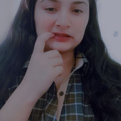 Chocolate  selection