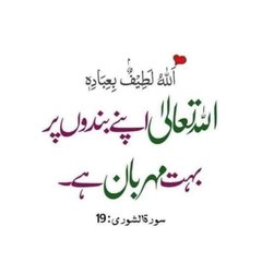 funny videos and drama series