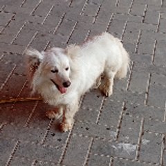 azeemsheikh0813