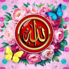 Arman Ullah