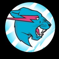 Mr Beast follower