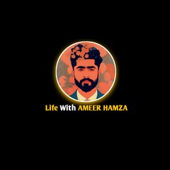 Life with ameerhamza