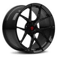 Daily Videos