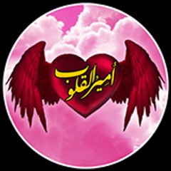 قناة أمير القلوب