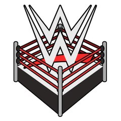 WWE Then Now Forever Together Wrestling Fan