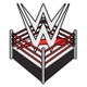 WWE Then Now Forever Together Wrestling Fan