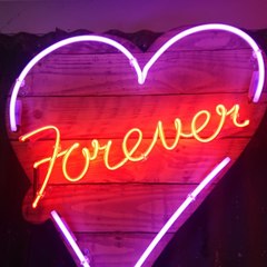 Forever Videos