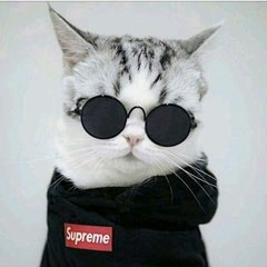 محمد على عبد المقصود